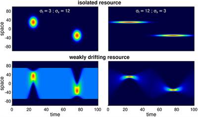 Memories of Migrations Past: Sociality and Cognition in Dynamic, Seasonal Environments